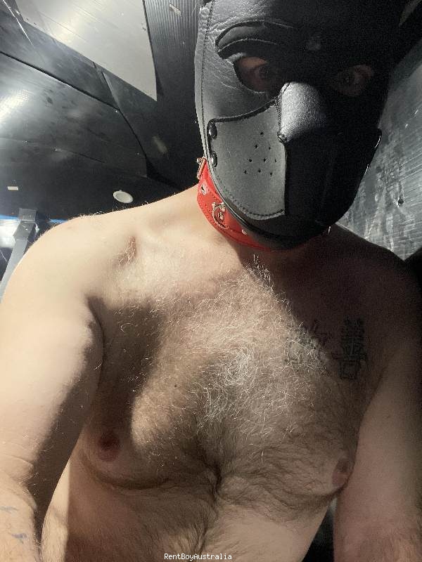 Timothy.James Gay Escort Melbourne 0493966758 masseuraustralia.com